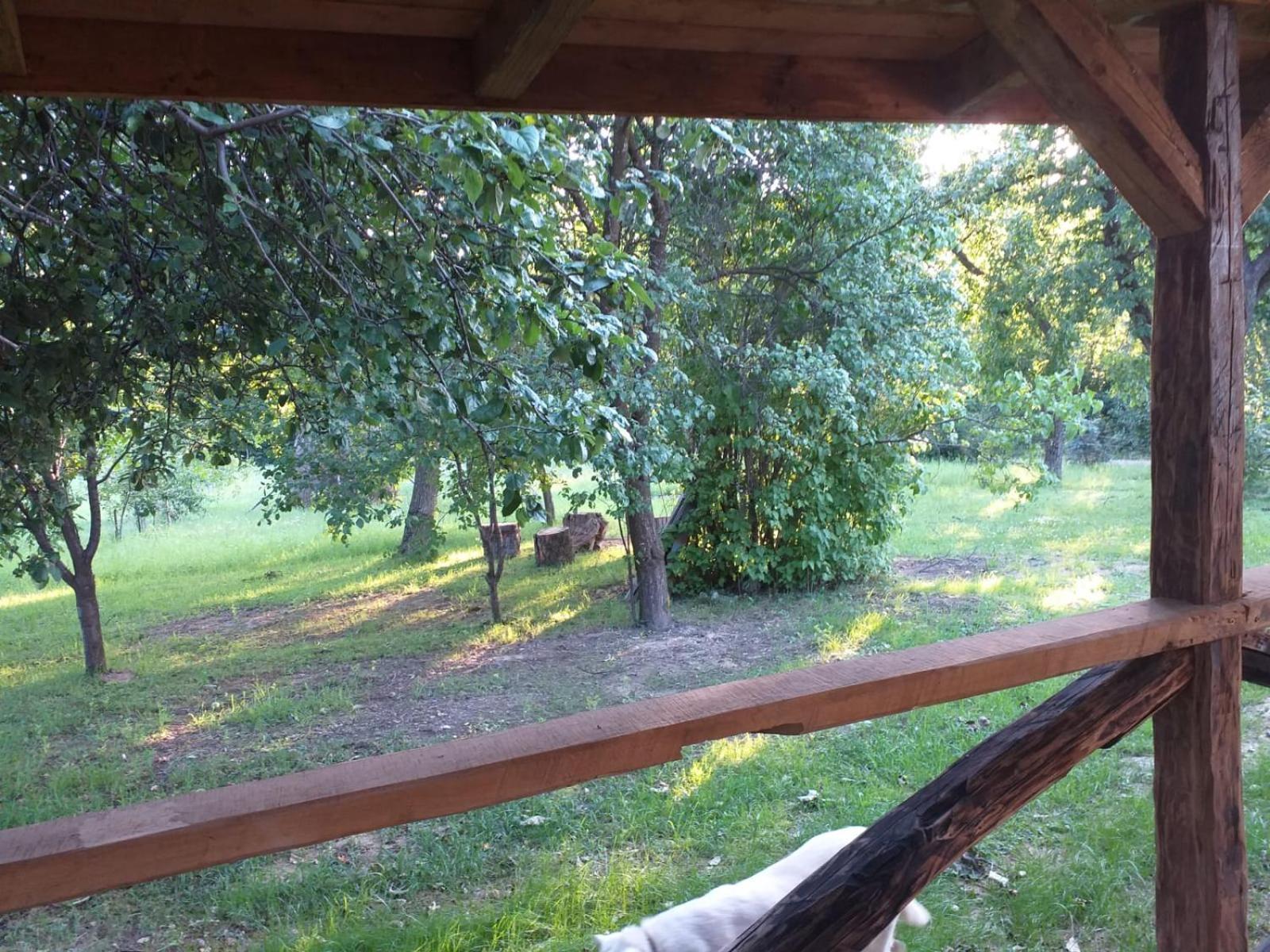 Holiday home Casa Weiss-cetatele